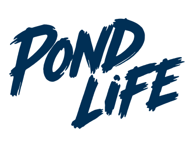 Pond Life
